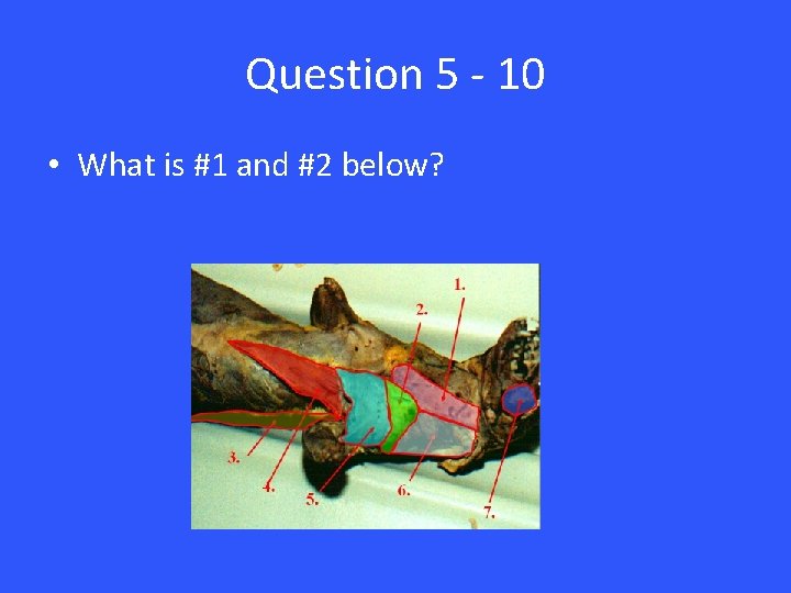 Question 5 - 10 • What is #1 and #2 below? 