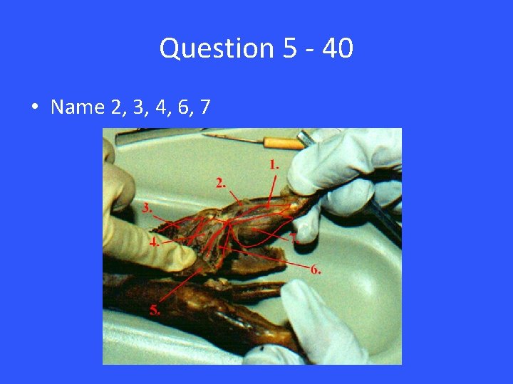 Question 5 - 40 • Name 2, 3, 4, 6, 7 