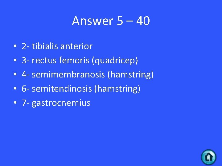 Answer 5 – 40 • • • 2 - tibialis anterior 3 - rectus