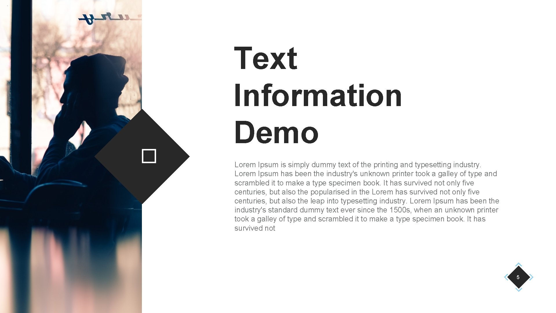 � Text Information Demo Lorem Ipsum is simply dummy text of the printing and