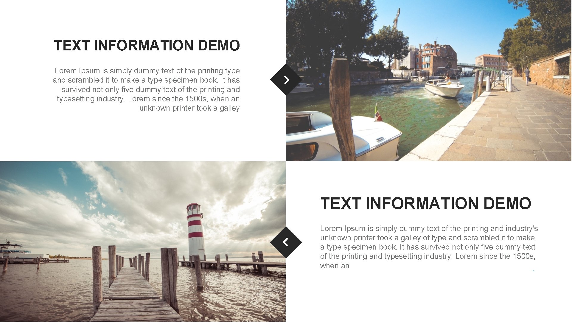 TEXT INFORMATION DEMO Lorem Ipsum is simply dummy text of the printing type and