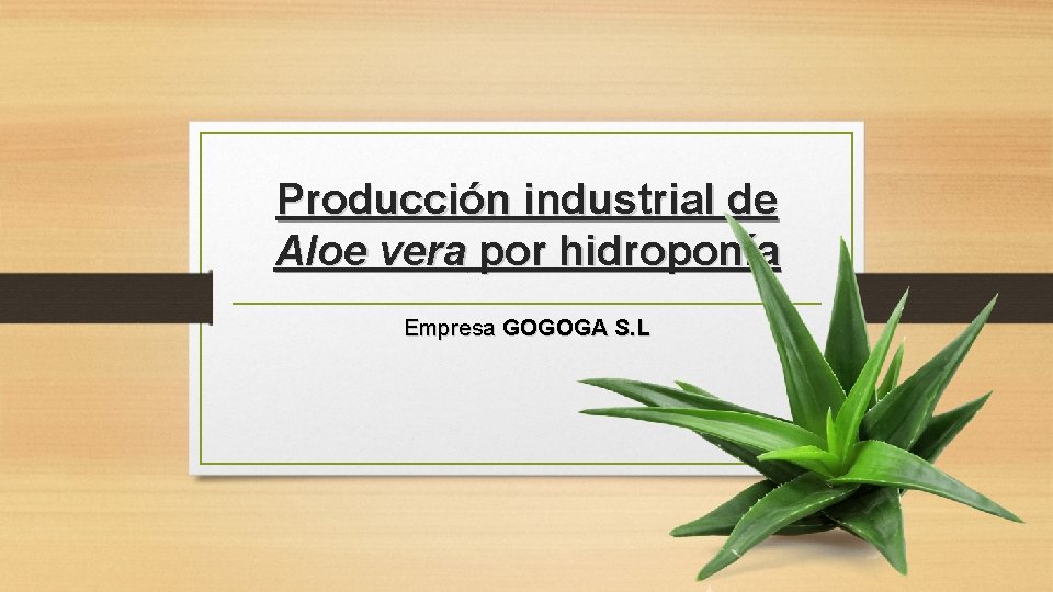 Producción industrial de Aloe vera por hidroponía Empresa GOGOGA S. L 