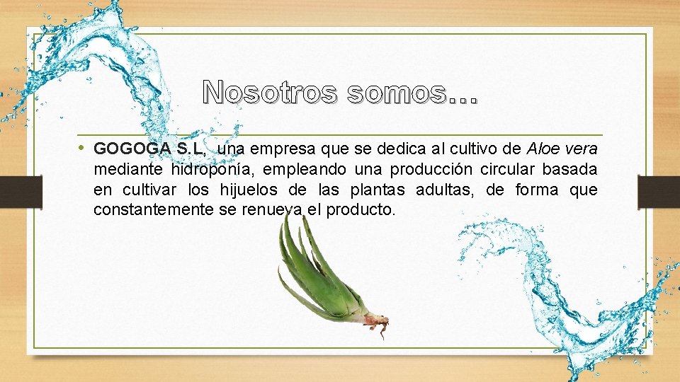 Nosotros somos… • GOGOGA S. L, una empresa que se dedica al cultivo de