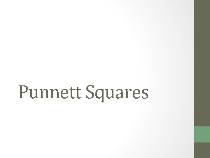 Punnett Squares 
