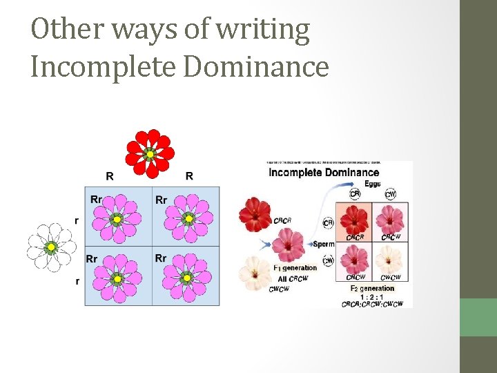 Other ways of writing Incomplete Dominance 