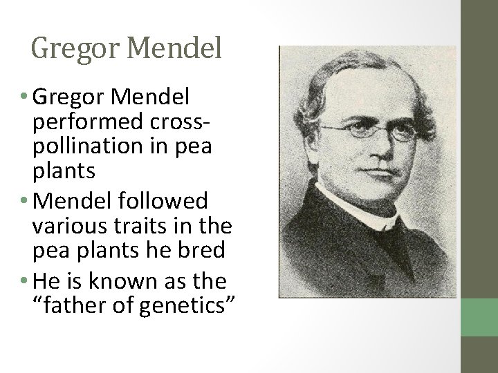 Gregor Mendel • Gregor Mendel performed crosspollination in pea plants • Mendel followed various