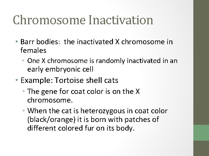 Chromosome Inactivation • Barr bodies: the inactivated X chromosome in females • One X