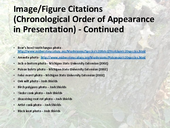 Image/Figure Citations (Chronological Order of Appearance in Presentation) - Continued • Bear’s head tooth