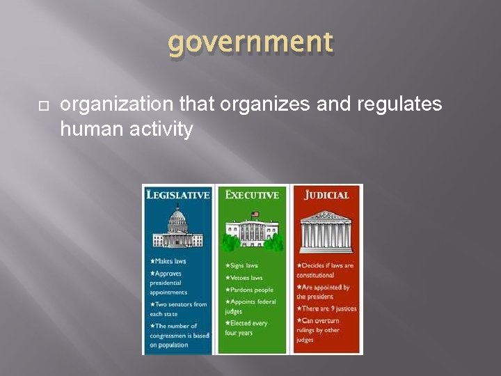 government organization that organizes and regulates human activity 