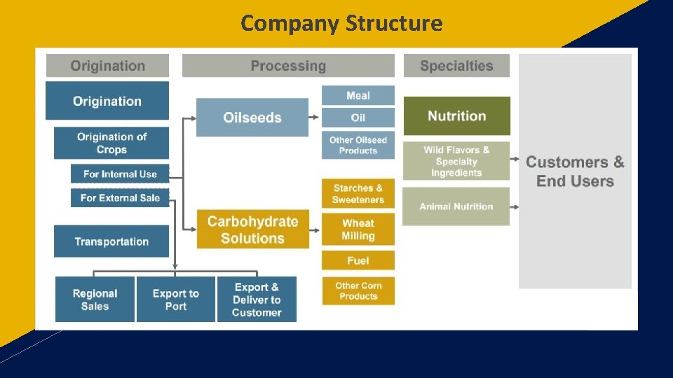 Company Structure 
