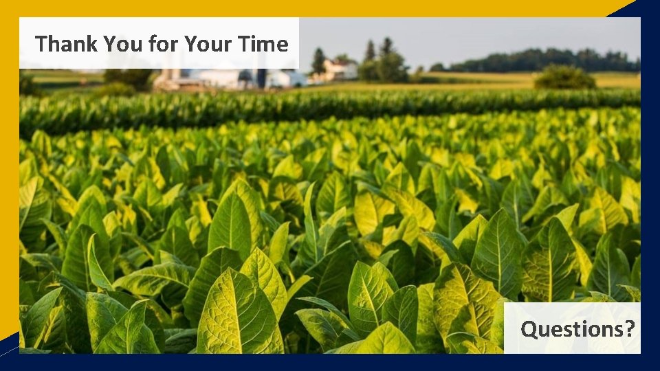 Thank You for Your Time Questions? 