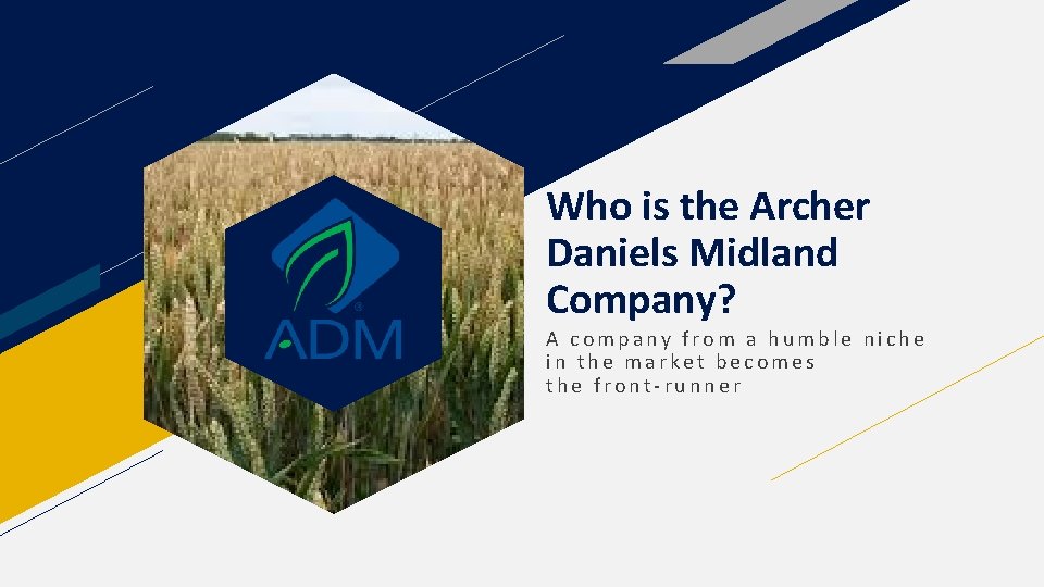 Who is the Archer Daniels Midland Company? A company from a humble niche in