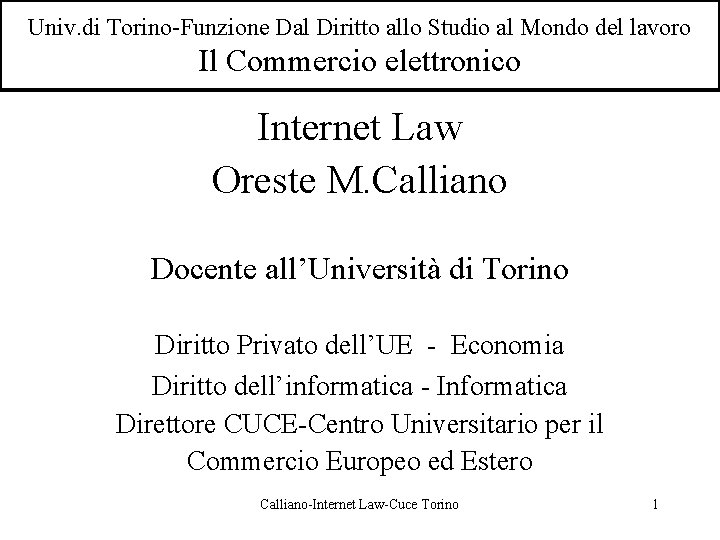 Univ. di Torino-Funzione Dal Diritto allo Studio al Mondo del lavoro Il Commercio elettronico