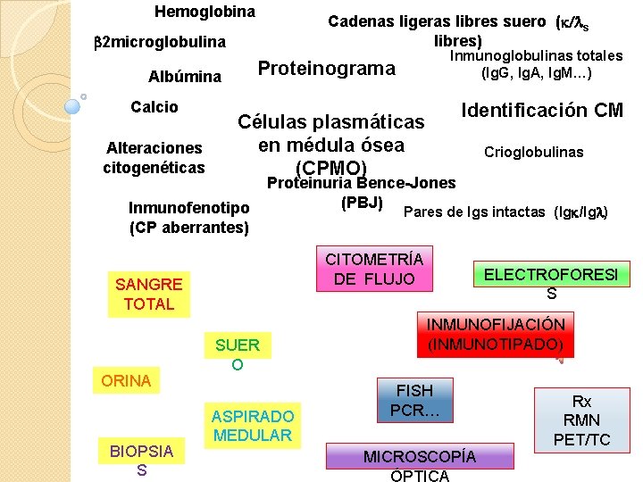 Hemoglobina Cadenas ligeras libres suero (k/ls libres) b 2 microglobulina Proteinograma Albúmina Calcio Alteraciones