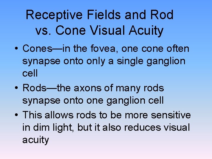 Receptive Fields and Rod vs. Cone Visual Acuity • Cones—in the fovea, one cone