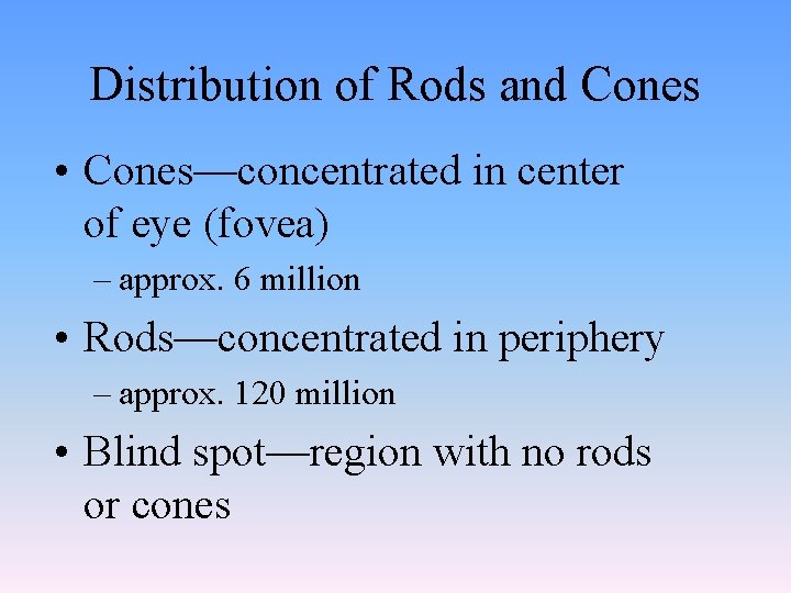 Distribution of Rods and Cones • Cones—concentrated in center of eye (fovea) – approx.