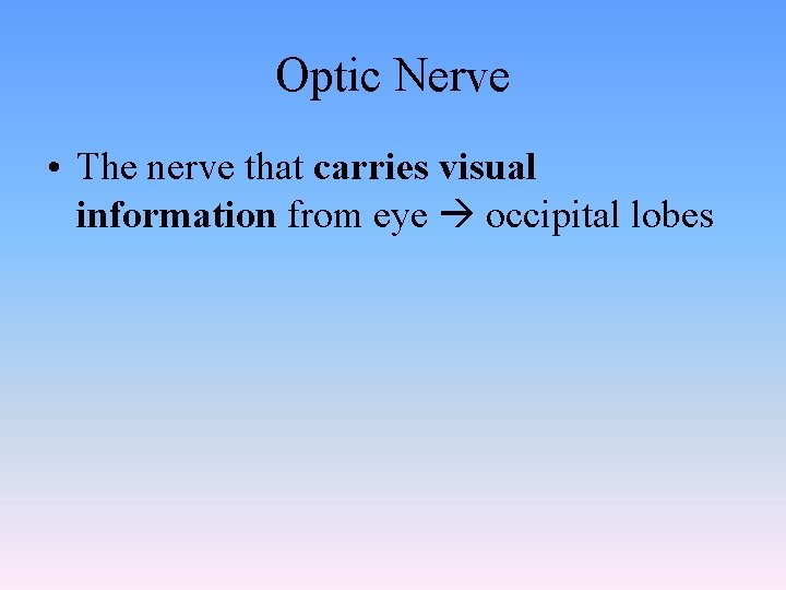 Optic Nerve • The nerve that carries visual information from eye occipital lobes 