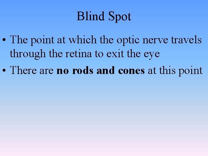 Blind Spot • The point which the optic nerve travels Blindat Spot through the
