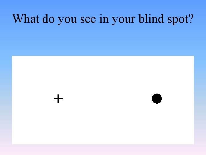 What do you see in your blind spot? 