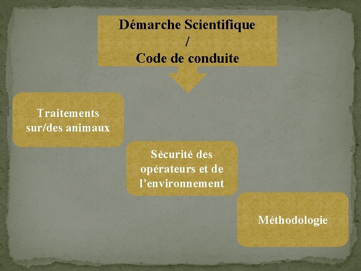 Démarche Scientifique / Code de conduite Traitements sur/des animaux Sécurité des opérateurs et de