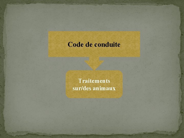 Code de conduite Traitements sur/des animaux 