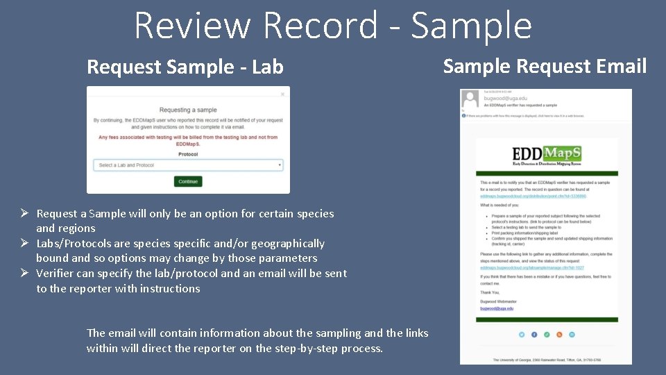 Review Record - Sample Request Sample - Lab Ø Request a Sample will only