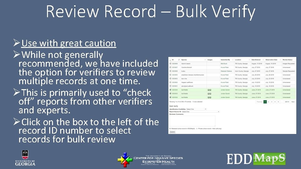 Review Record – Bulk Verify ØUse with great caution ØWhile not generally recommended, we