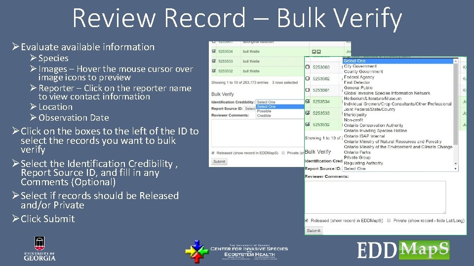 Review Record – Bulk Verify ØEvaluate available information Ø Species Ø Images – Hover