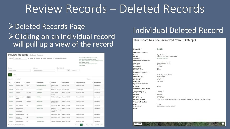 Review Records – Deleted Records ØDeleted Records Page ØClicking on an individual record will