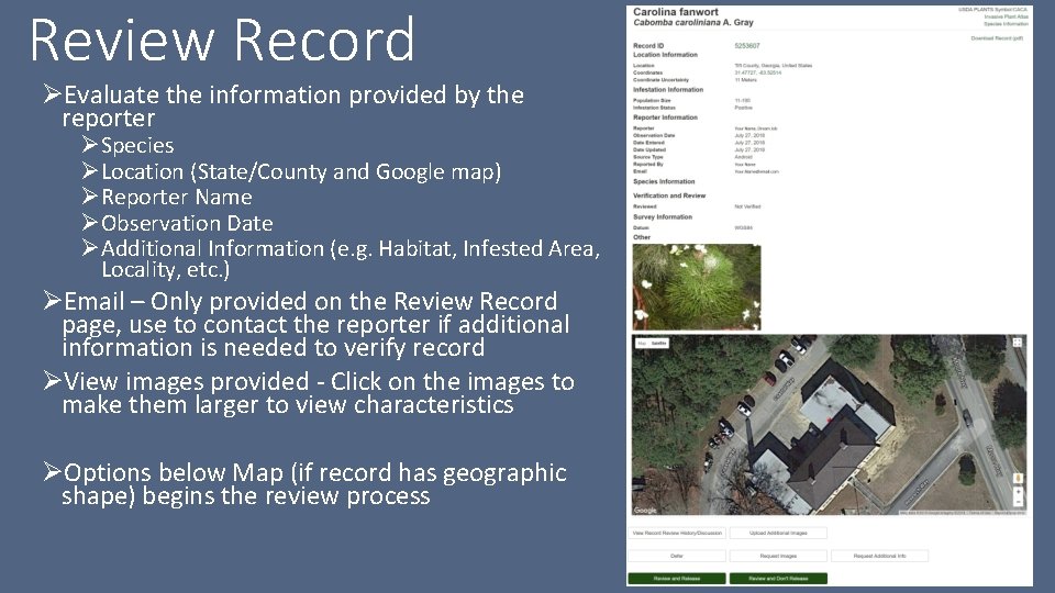 Review Record ØEvaluate the information provided by the reporter ØSpecies ØLocation (State/County and Google