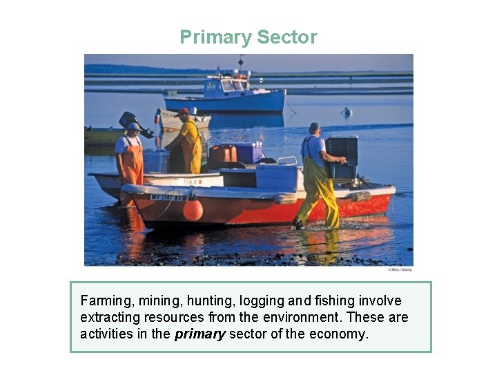 Primary Sector Farming, mining, hunting, logging and fishing involve extracting resources from the environment.