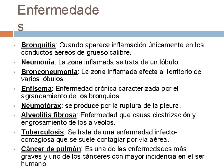 Enfermedade s • • Bronquitis: Cuando aparece inflamación únicamente en los conductos aéreos de