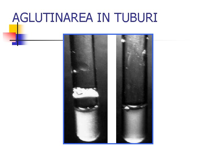 AGLUTINAREA IN TUBURI 