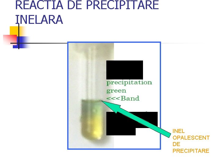 REACTIA DE PRECIPITARE INELARA INEL OPALESCENT DE PRECIPITARE 