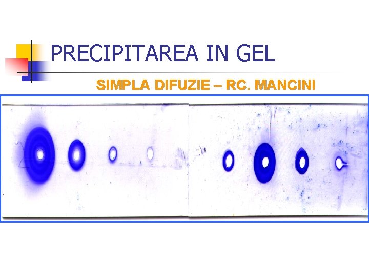 PRECIPITAREA IN GEL SIMPLA DIFUZIE – RC. MANCINI 