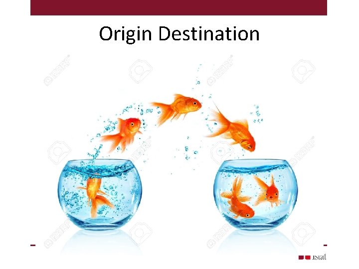 Origin Destination 