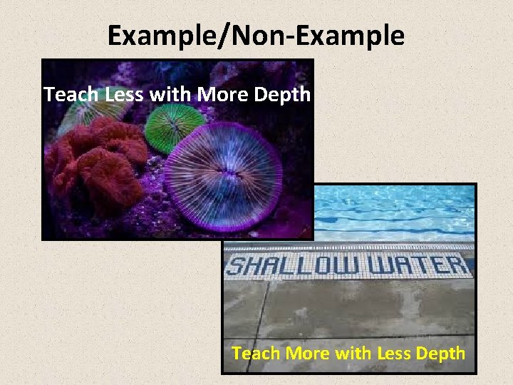 Example/Non-Example Teach Less with More Depth Teach More with Less Depth 