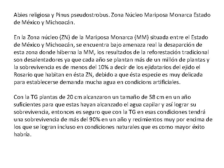 Abies religiosa y Pinus pseudostrobus. Zona Núcleo Mariposa Monarca Estado de México y Michoacán.