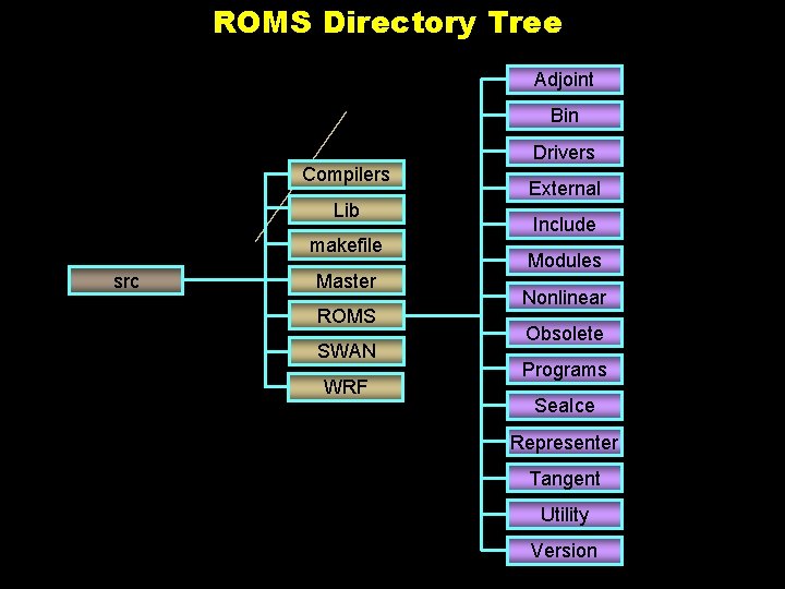 ROMS Directory Tree Adjoint Bin Drivers Compilers Lib makefile src Master ROMS SWAN WRF