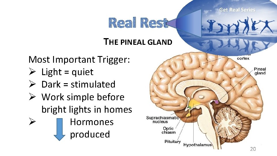 Real Rest Get Real Series THE PINEAL GLAND Most Important Trigger: Ø Light =