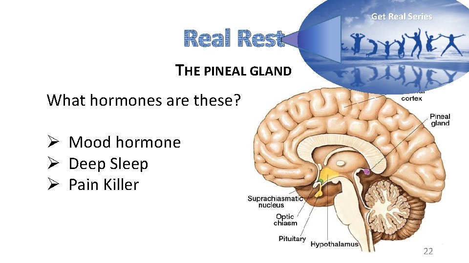 Real Rest Get Real Series THE PINEAL GLAND What hormones are these? Ø Mood