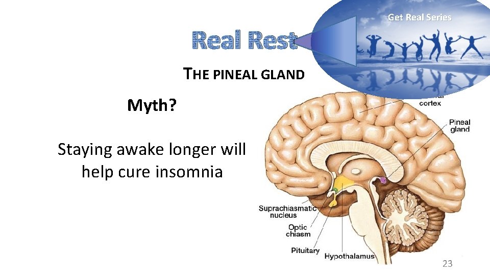 Real Rest Get Real Series THE PINEAL GLAND Myth? Staying awake longer will help
