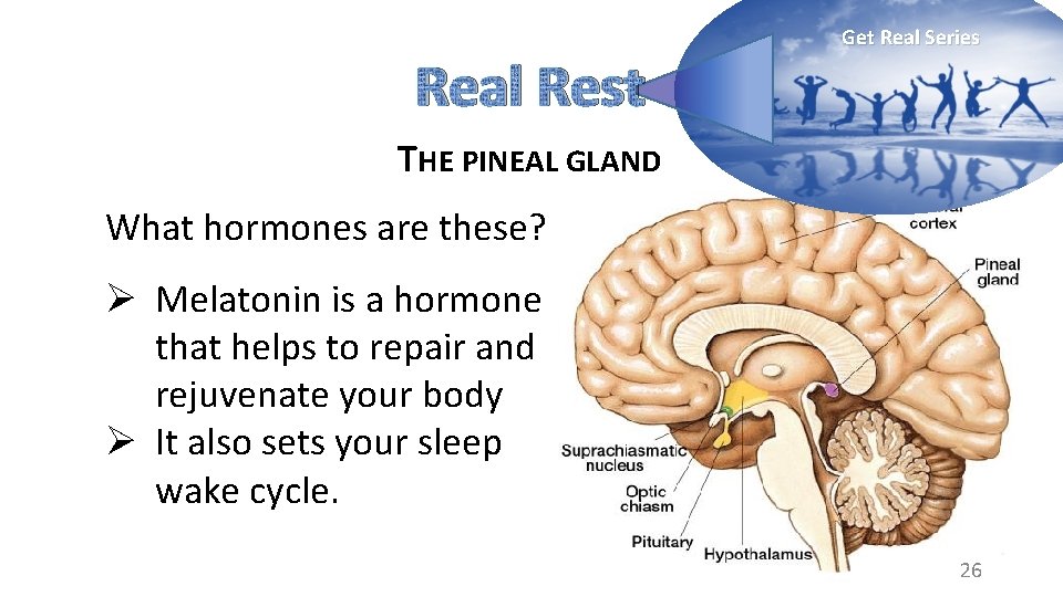 Real Rest Get Real Series THE PINEAL GLAND What hormones are these? Ø Melatonin