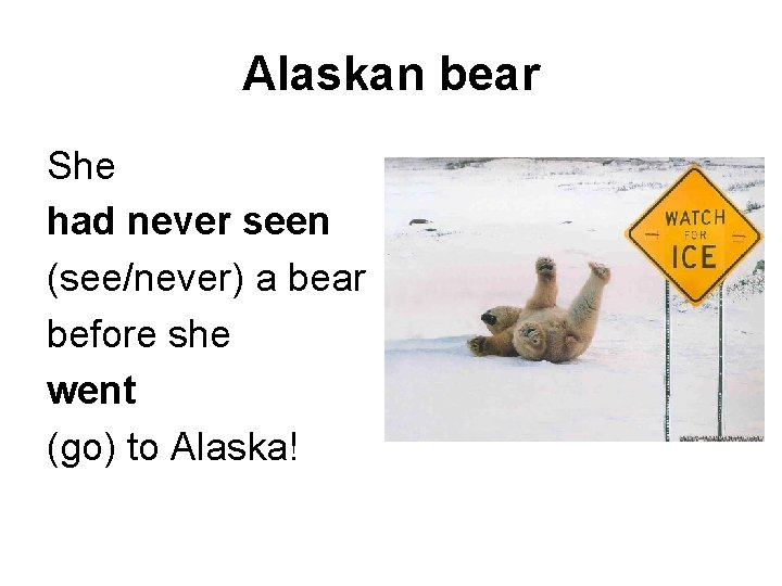 Alaskan bear She had never seen (see/never) a bear before she went (go) to