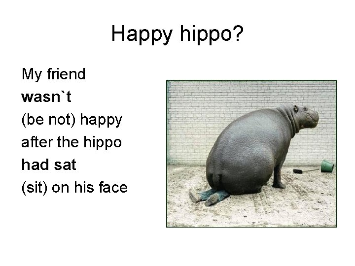 Happy hippo? My friend wasn`t (be not) happy after the hippo had sat (sit)