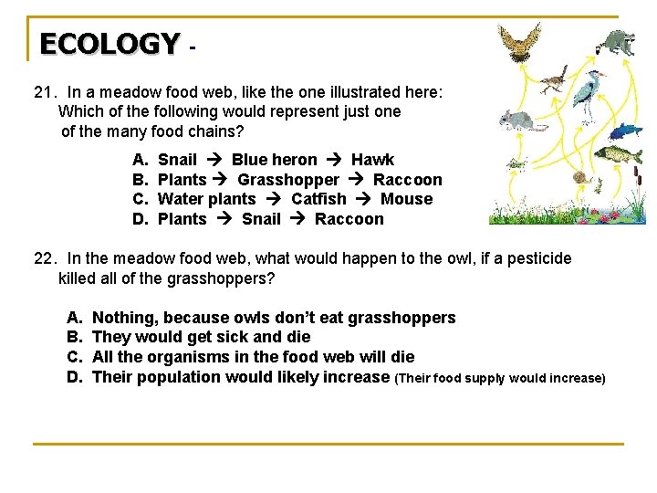 ECOLOGY 21. In a meadow food web, like the one illustrated here: Which of