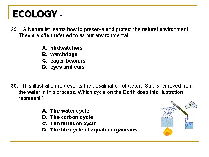 ECOLOGY 29. A Naturalist learns how to preserve and protect the natural environment. They