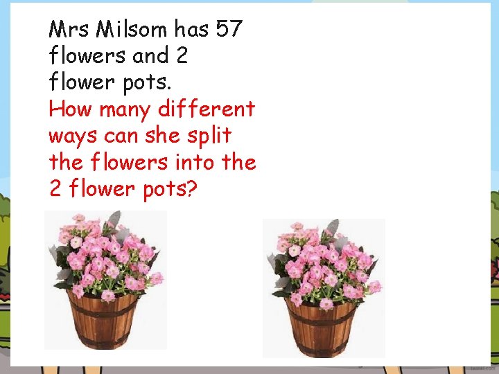 Mrs Milsom has 57 flowers and 2 flower pots. How many different ways can