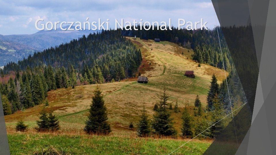 Gorczański National Park 