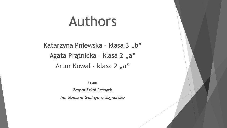 Authors Katarzyna Pniewska – klasa 3 „b” Agata Prątnicka – klasa 2 „a” Artur